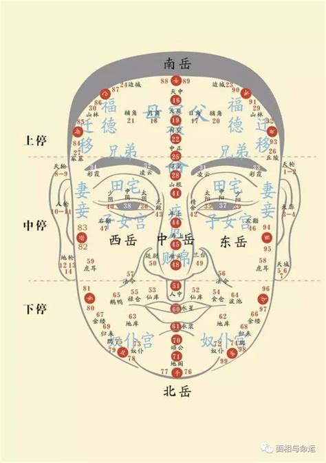 面相圖|1到100歲，面相流年氣運圖教你如何看自己的面相